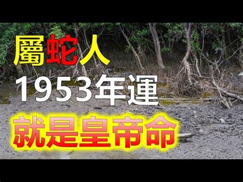 78年屬蛇|屬蛇出生年份+2024今年幾多歲｜屬蛇性格特徵＋最新 